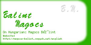 balint magocs business card